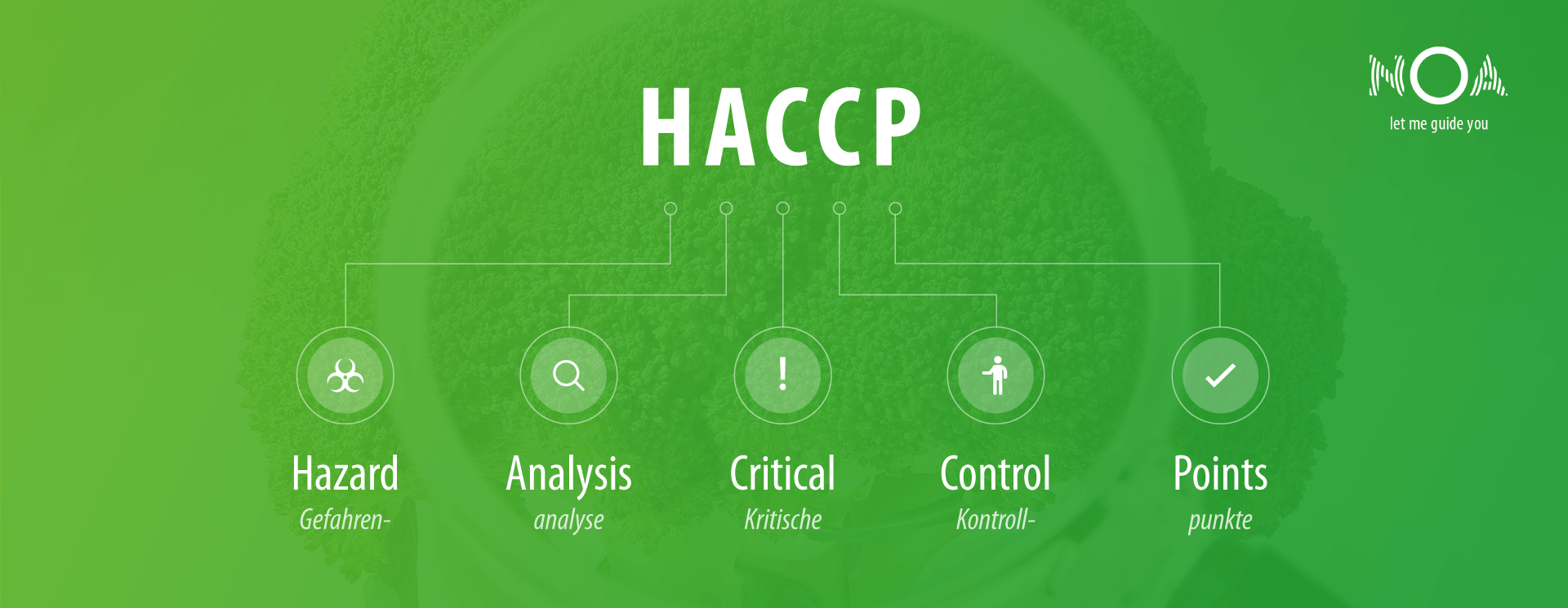 HACCP – Gefahrenanalyse und kritische Kontrollpunkte