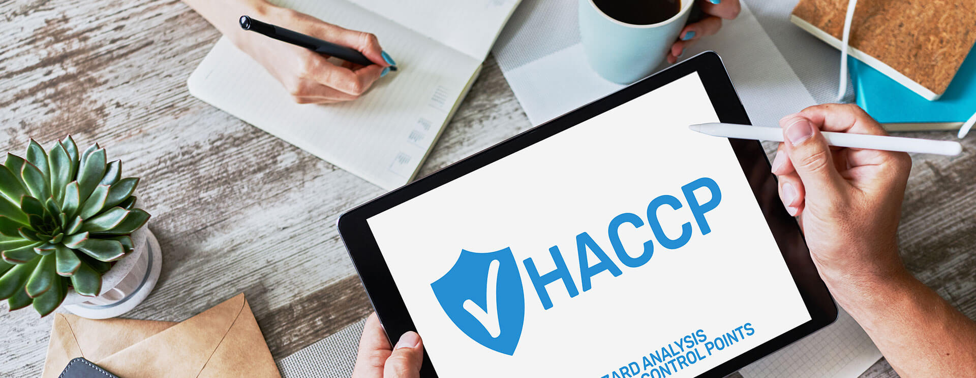 HACCP Konzept – was versteht man darunter?